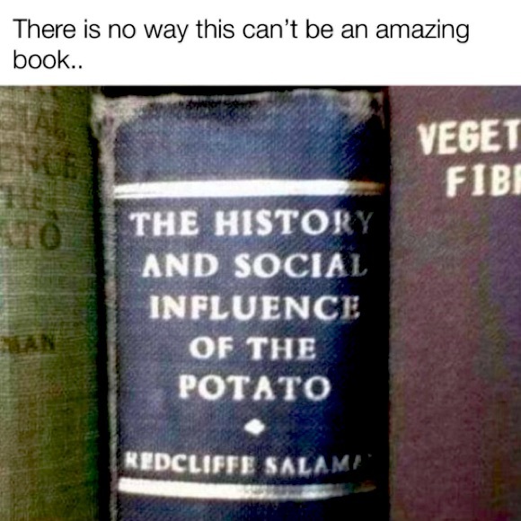 Meet your Posher, Jademarie - Picture 1 of 5